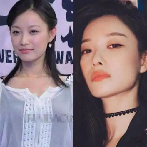 倪妮新旧照片对比明显,从普通女孩到完美逆袭,一般人做不到_手机搜狐