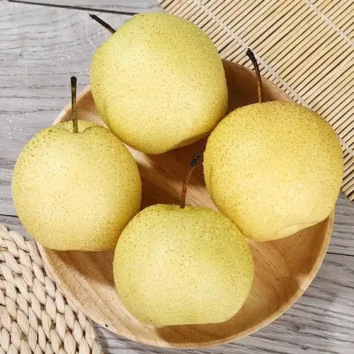正宗雪梨河北雪花梨梨子批发10斤冰糖雪梨新鲜水果净重中大果5斤