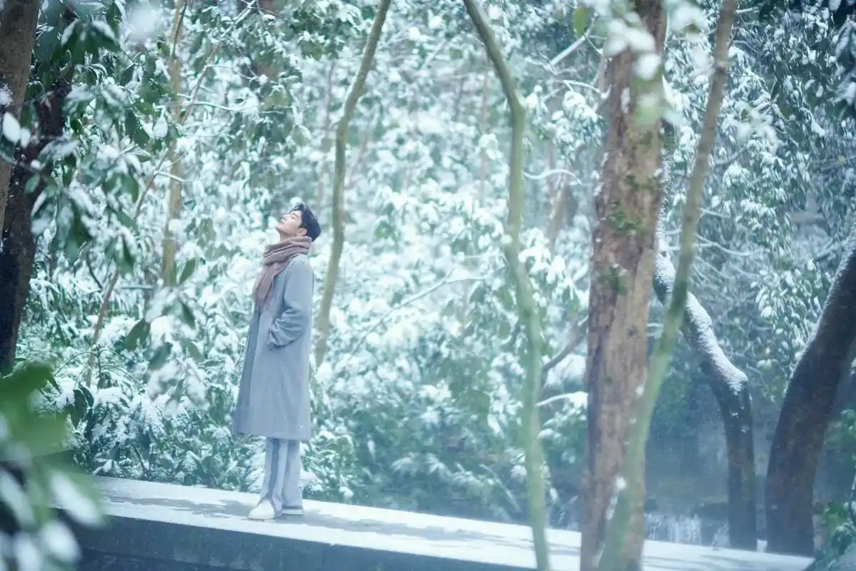 肖战冬至竹林大片氛围感