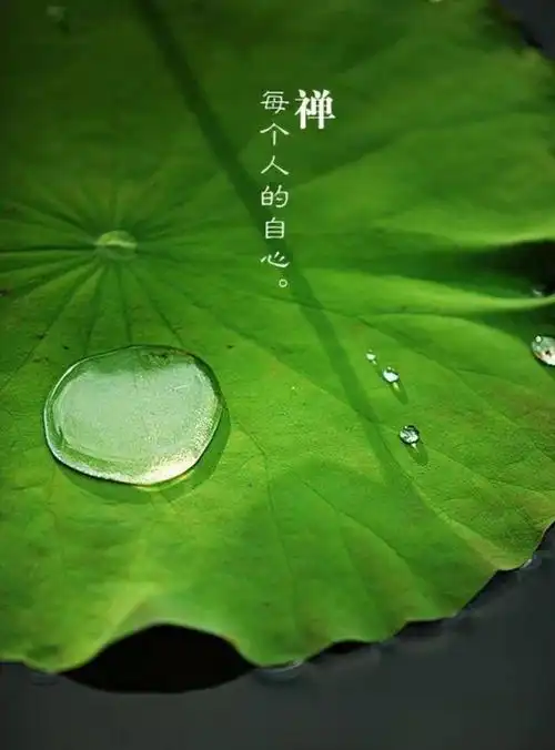 道缘环境就相当于一个无形的金刚网,笼罩着我们修道人不被外界障缘所"