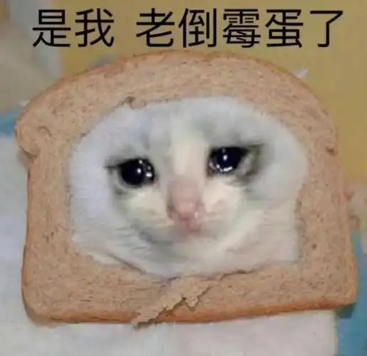 这些倒霉段子也提醒各位网友:做好数据备份,给所有能转钱的方式上锁