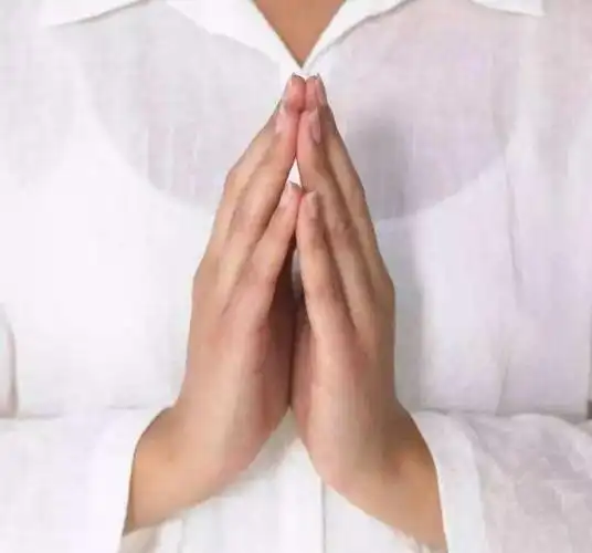 许愿是双手合十还是握拳(许愿是双手合十还是握拳图片) - 直播好站