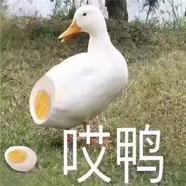 2019沙雕专用的聊天斗图表情包沙雕图片搞笑表情包