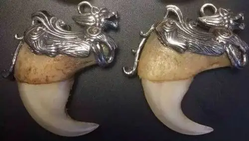 虎牙文玩大部分人对于这个国家的认知,可能也仅仅是孟加拉虎了!