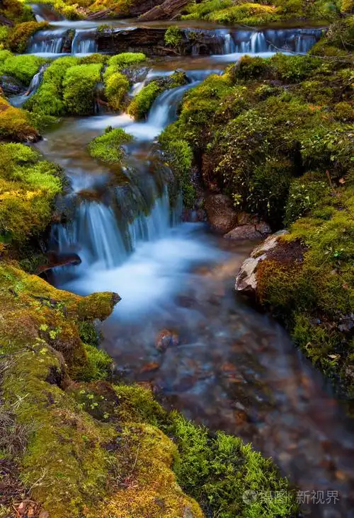 由青苔围拢的小山小河