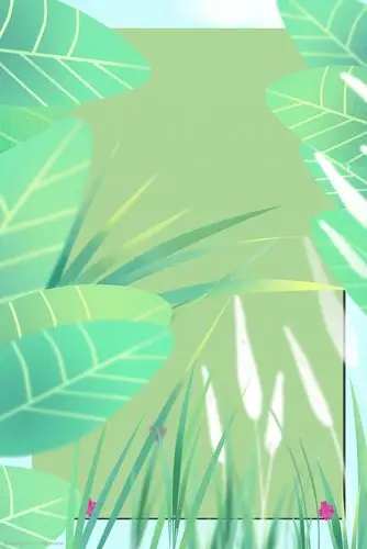 边框绿色简约风海报banner背景