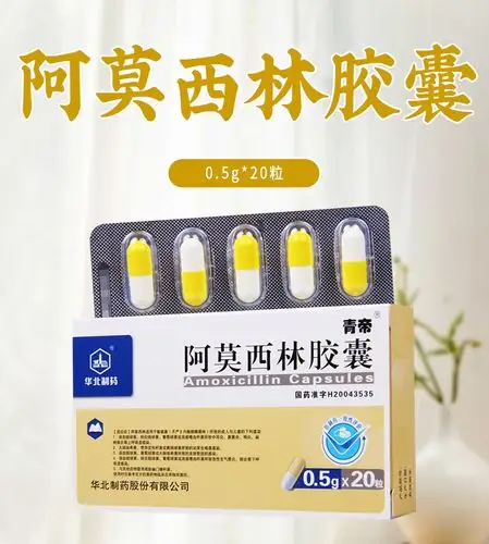 华北制药阿莫西林胶囊05g20粒盒溶血链球菌链球菌葡萄球菌或流感嗜血