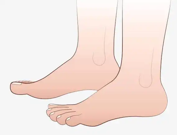 清秀的足底素材免费下载_觅元素