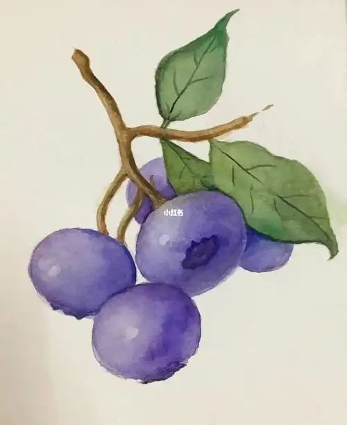 水彩水果