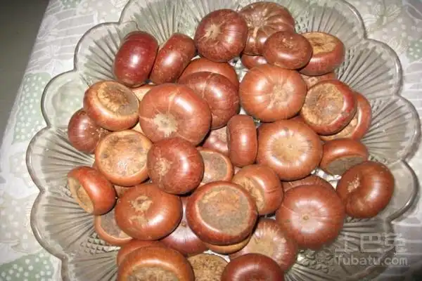 壮阳果图片及其功效