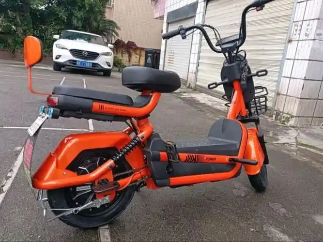 瀚扬新国标电动车电动自行车电瓶车小型48v锂电池男女双人红色威电池