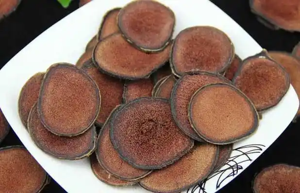 马鹿茸是一种贵重的中药,别称茸角,东马茸,西马茸等,为鹿科动物马鹿的