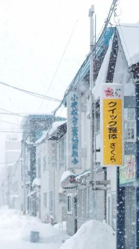 日本街道,雪,樱花