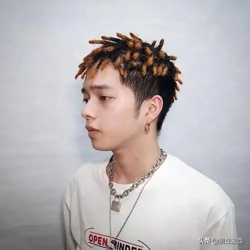 男生辫子发型14款男生脏辫发型