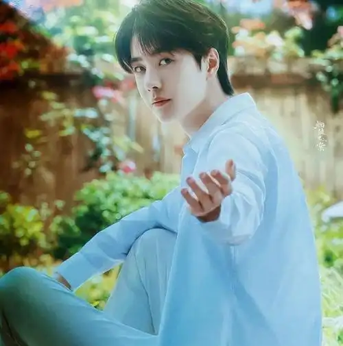 微信头像王一博