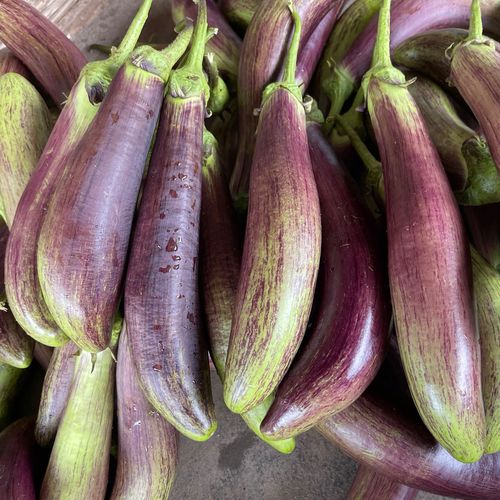 湖北新鲜面包茄子海绵茄烧烤茄农家茄长茄时令蔬菜花茄开锅烂3斤