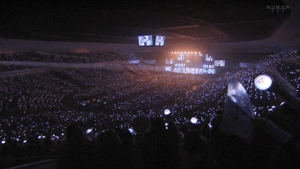 五颜六色的灯牌,好奇限韩之前什么情况,一片应援棒里几个灯牌会很丑吧