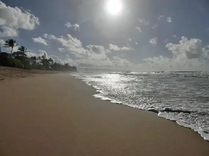 火山雨林大洋,每一天都是崭新的…青岛背包客夏威夷半月自由行(上)