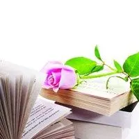 玫瑰花和一本书的图片头像_微信头像图片大全