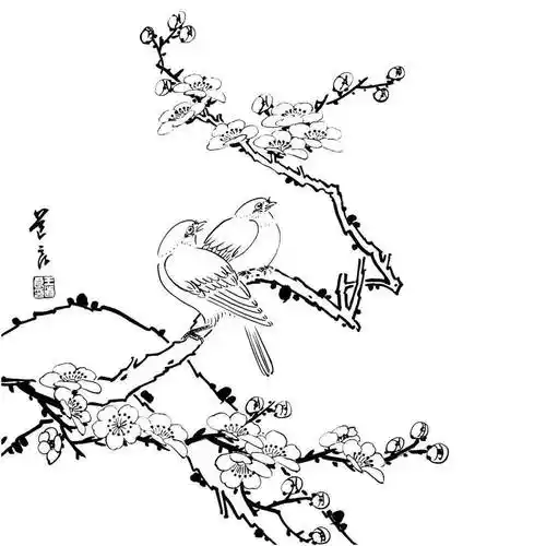 花鸟的白描,就应该这么画