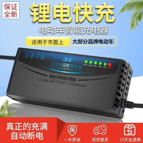 自动断电智能电动车锂电池充电器48伏13串三元聚合物546v2a3a5a