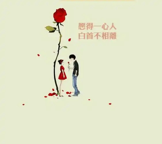 愿得一人心,白首不相离