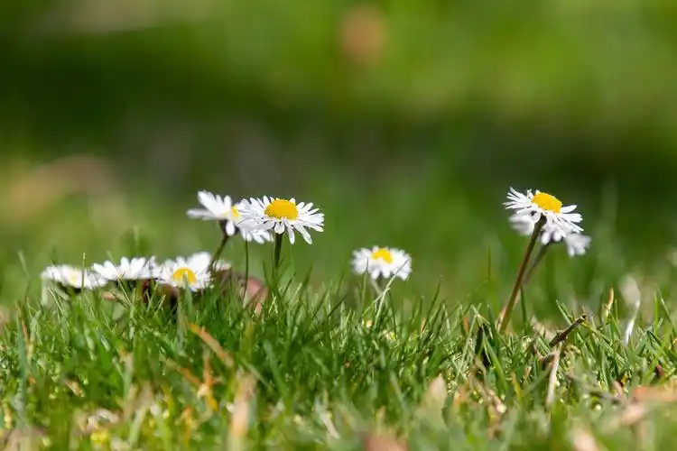 遇见美好# 今年春夏流行的衣服款式之一,… - 堆糖,美图壁纸兴趣汕