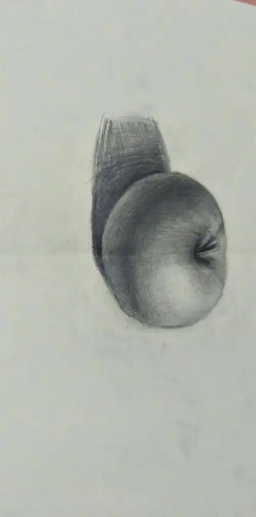 素描画《苹果》