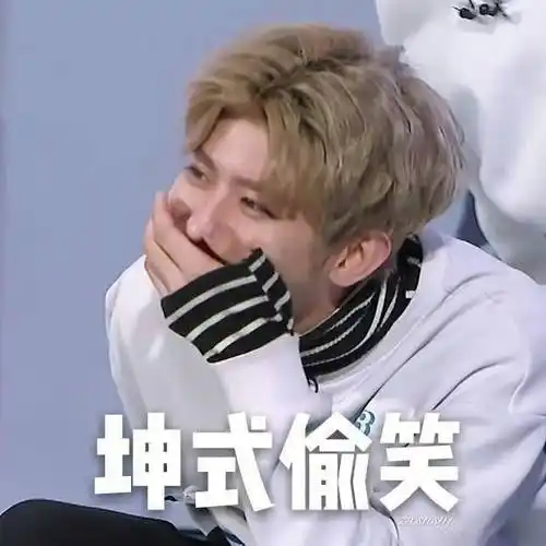 偷t蔡徐坤表情包蔡徐坤明星表情表情