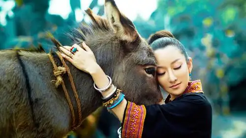 萨顶顶成名曲《万物生》,每次听到都会有不一样的感觉,听不腻!