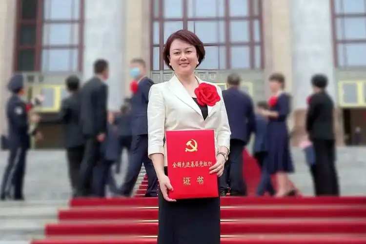 重大喜报龙净环保党委荣获全国先进基层党组织