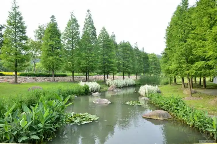 公园水体景观意向图