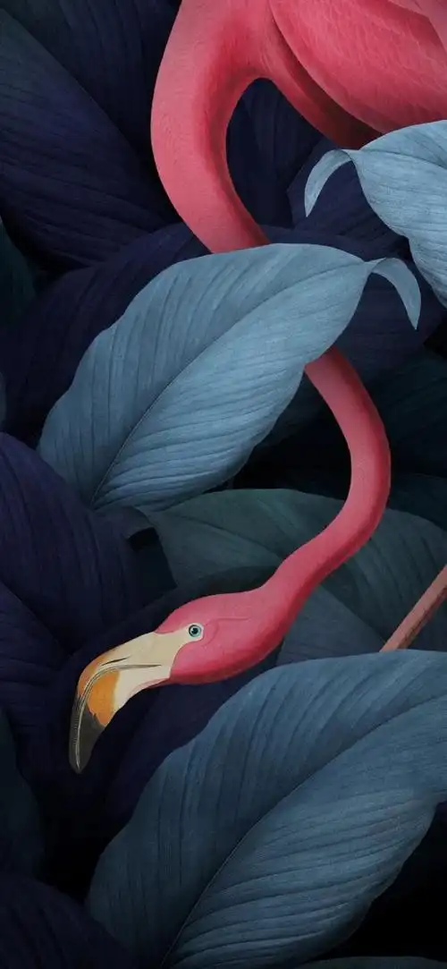 高清壁纸无水印#深色系全面屏壁纸