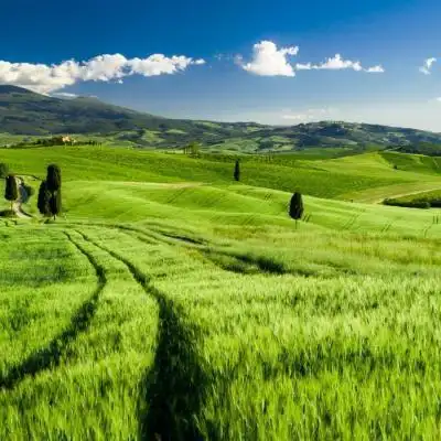 绿色唯美意境_风景静物头像_我要个性网