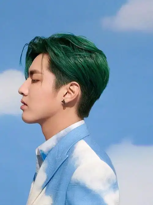 吴亦凡的绿色头发很好看.