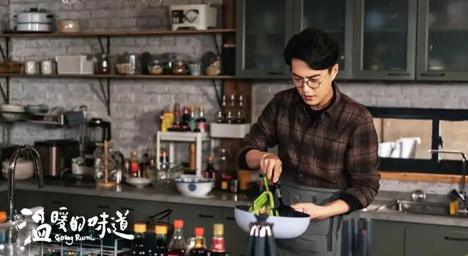 《温暖的味道》:当靳东成了村干部