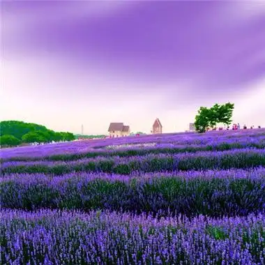 女人好运头像风景-风景头像-爱聚微信qq空间大杂烩