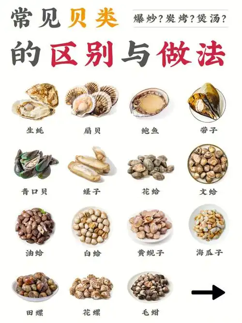 合集常见贝类的区别与做法60超鲜der