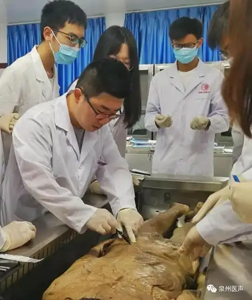 临床医学专业的同学在德诚解剖实验室完成了首次系统解剖学的实验课程