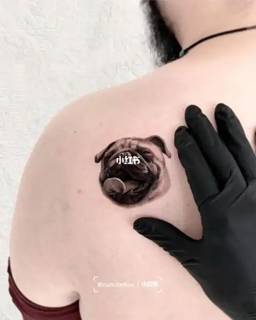 上海宠物纹身 | 八哥犬 | 微雕写实纹身