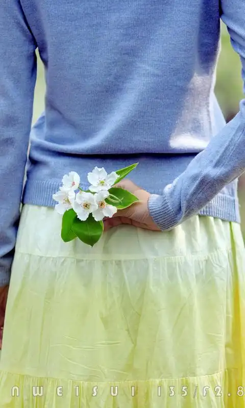 精选护眼小白花梨花下的少女小清新高清手机壁纸下载-美女-手机壁纸