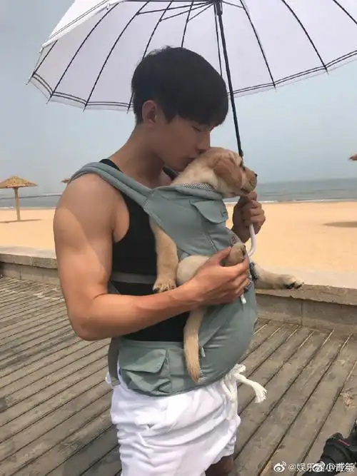 成毅肌肉线条##司凤是金赤鸟妖