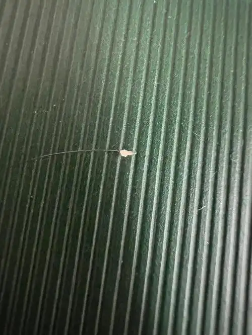 发根上白白的硬硬的是什么