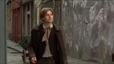 心之全蚀/95年的小李子