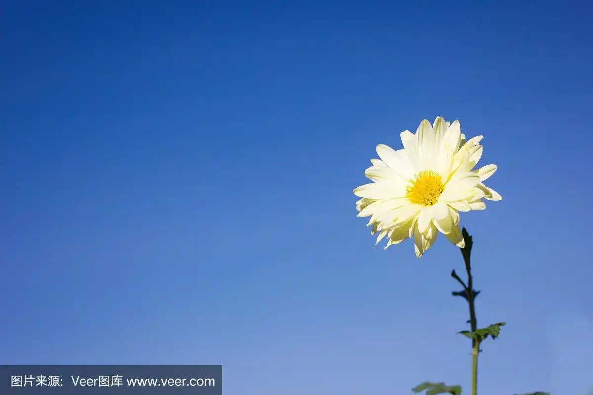 天空,蓝色,白色,清新,小的