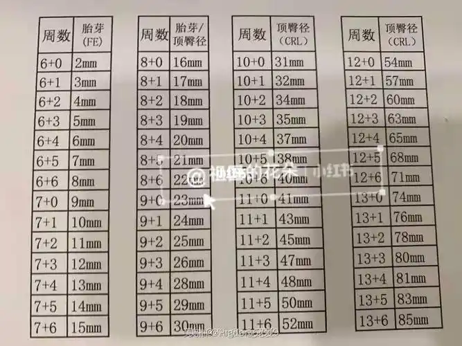 孕周胎芽大小对照表_孕产_母婴_母婴_孕产经验