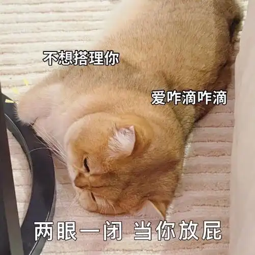 撩男朋友表情包