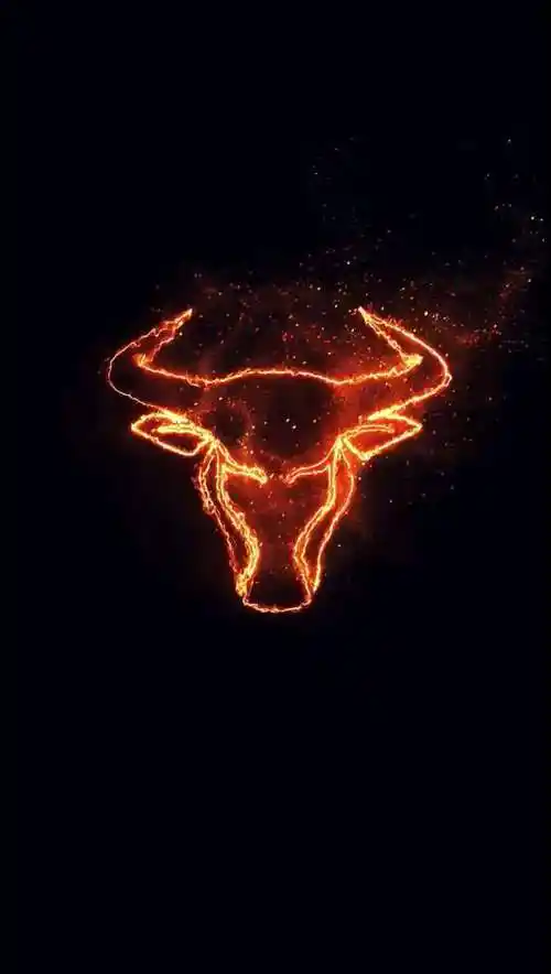 jh原创—火焰姓氏 我姓刘却留不住你的心动态壁纸_高清竖屏视频下载