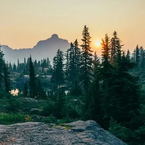 风景头像 成熟稳重