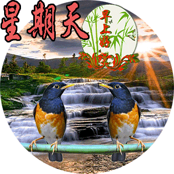 一周早晨问好小鸟表情图